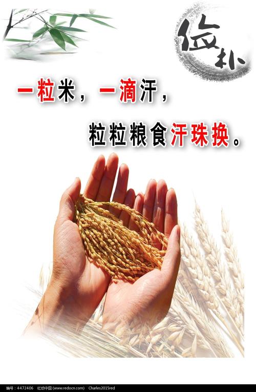 房产证编号位置图片